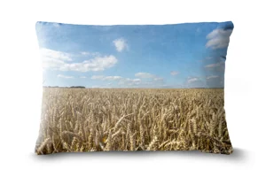 Wheat Field Bolster