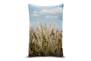 Wheat Field Bolster
