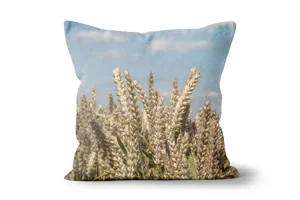 Summer Wheat Stalks Scatter Cushions
