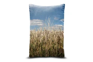 Wheat Field Bolster