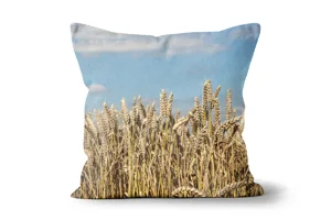 Summer Wheat Scatter Cushions