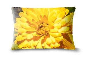 Yellow Marigold Flower Bolster