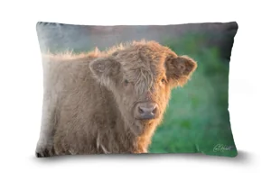 Baby Highland Cow Bolster