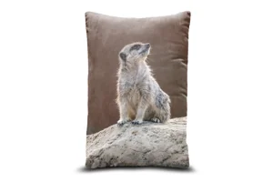 Baby Meerkat Bolster