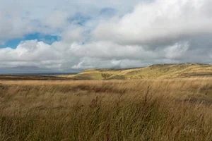 Bleaklow Moor Landscapes