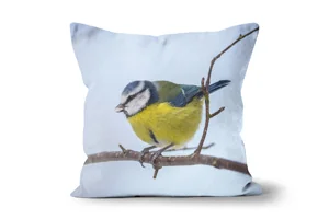 Singing Blue Tit Scatter Cushions