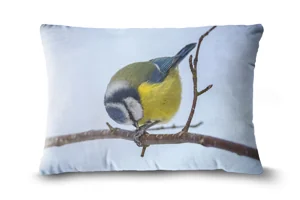 Blue Tit Bolster