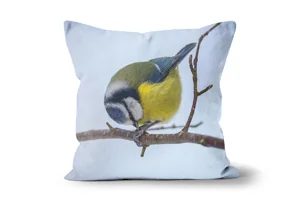Preening Blue Tit Scatter Cushions
