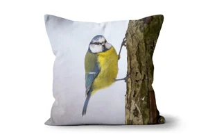 Winter Blue Tit Scatter Cushions