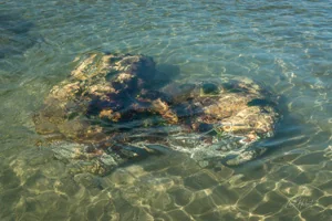 Porthluney Rock Wall Art Prints