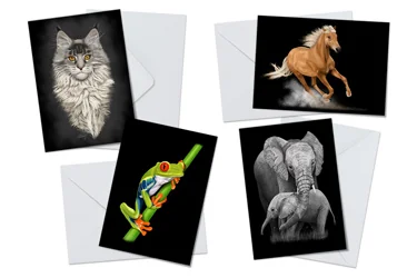 Animals on Black Greeting Card Packs