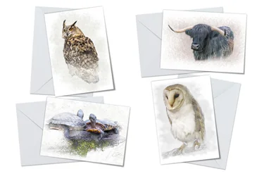 Animals on White Greeting Card Packs