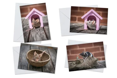 Fancy Mice Greeting Card Packs