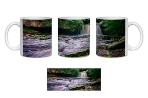 Cauldron Falls in Summer Coffee Mugs