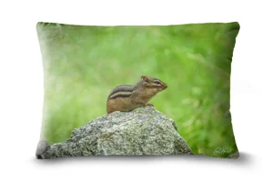 Chipmunk Bolster