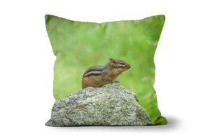 Striped Chipmunk Scatter Cushions