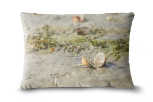 Cockle Beach Bolster
