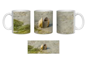 Cockleshell Beach Coffee Mugs