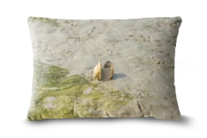 Cockle Beach Bolster