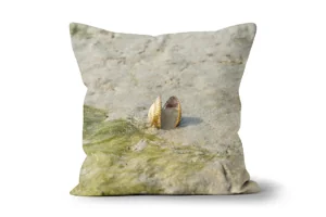 Cockleshell Beach Scatter Cushions