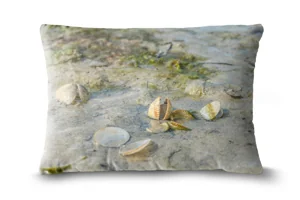 Cockle Beach Bolster