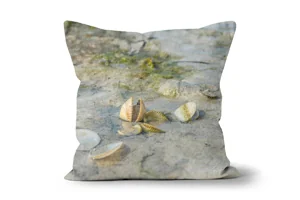 Cockles on Traigh Lar Beach Scatter Cushions