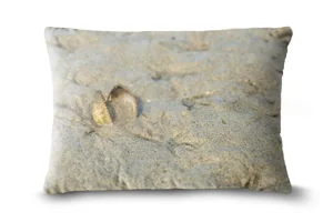 Cockle Beach Bolster