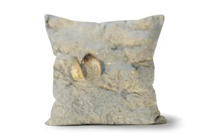 Traigh Lar Cockle Scatter Cushions