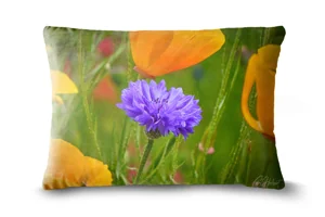 Cornflower Among California Poppies Bolster