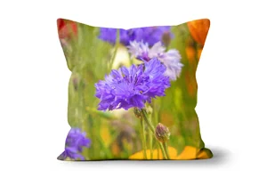Cornflowers Scatter Cushions