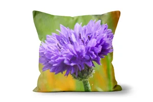 Violet Cornflower Scatter Cushions