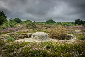 Poldice Mine Cornwall Wall Art Prints