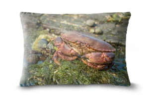 Crab Bolster