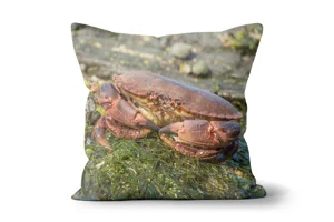 Mr Krabs Scatter Cushions