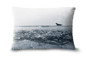 Doggy Paddle Bolster