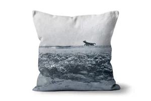 Doggy Paddle Scatter Cushions