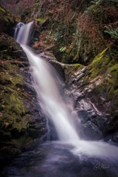 Dolgoch Falls Wall Art Prints
