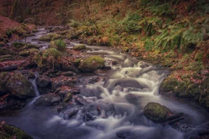 Nant Dolgoch Falls Rivers, Lakes & Waterfalls