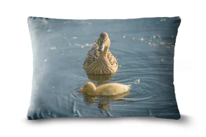Ducks Bolster