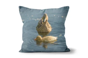 Female Mallard Duck with Chick Scatter Cushions
