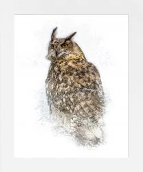 Turkmenian Eagle Owl Mounted Print