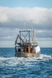 Fishing Trawler Wall Art Prints
