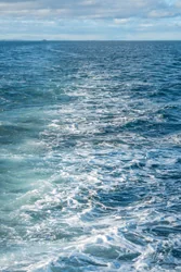 In My Wake Wall Art Prints