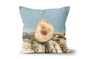 Hidden Hearts Scatter Cushions