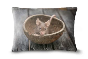 Jerry Fancy Mouse Bolster