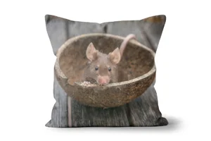 Coconut Fancy Mouse Scatter Cushions