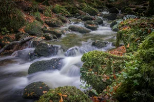 Kennall Vale Brook Rivers, Lakes & Waterfalls