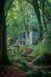 Kennall Vale Ruin Wall Art Prints