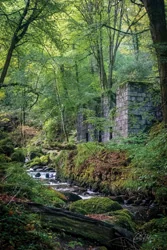 Kennall Vale Ruins Wall Art Prints