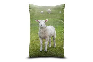 Lamb Bolster